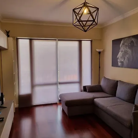 Olimpia Gardens View By Rentallido Appartement Funchal (Madeira)