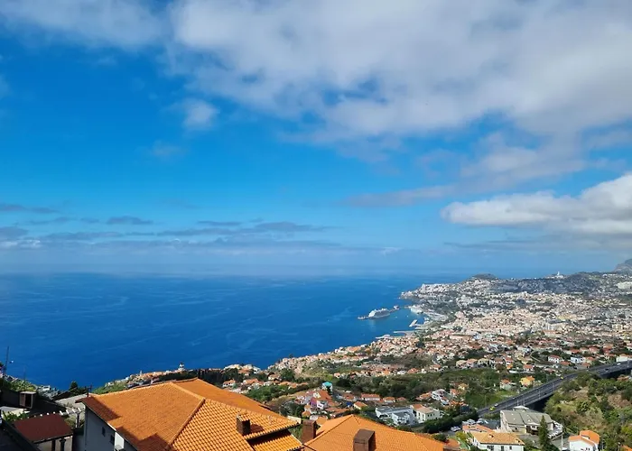 Olimpia Gardens View By Rentallido * Funchal (Madeira)