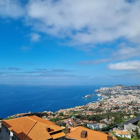 Olimpia Gardens View By Rentallido * Funchal (Madeira)